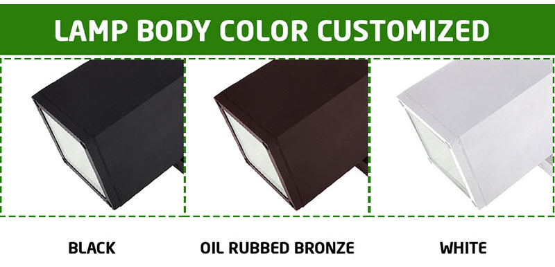 body color customized