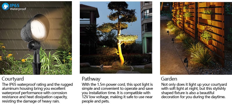 Landscape spotlights for courtyard pathway and garden
