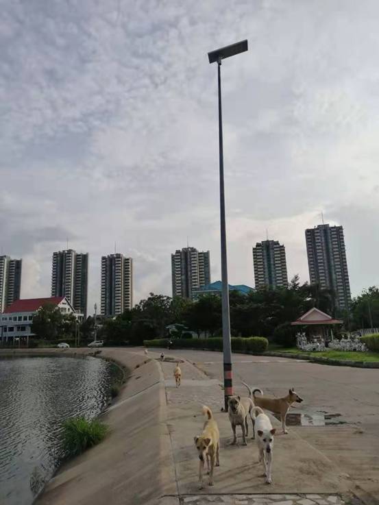 60W Integrated Solar Street Lighting System