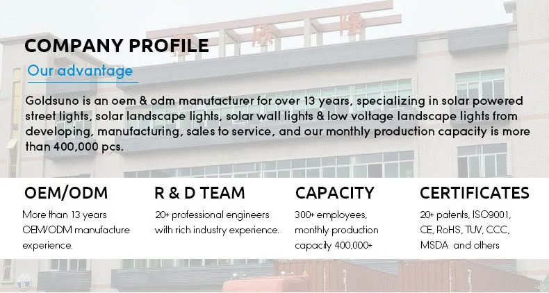 solar light company profile