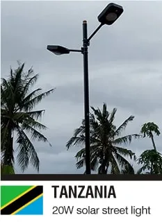 20W Solar Street Light Project in Tanzania